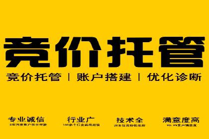 竞价推广代运营成功案例分析